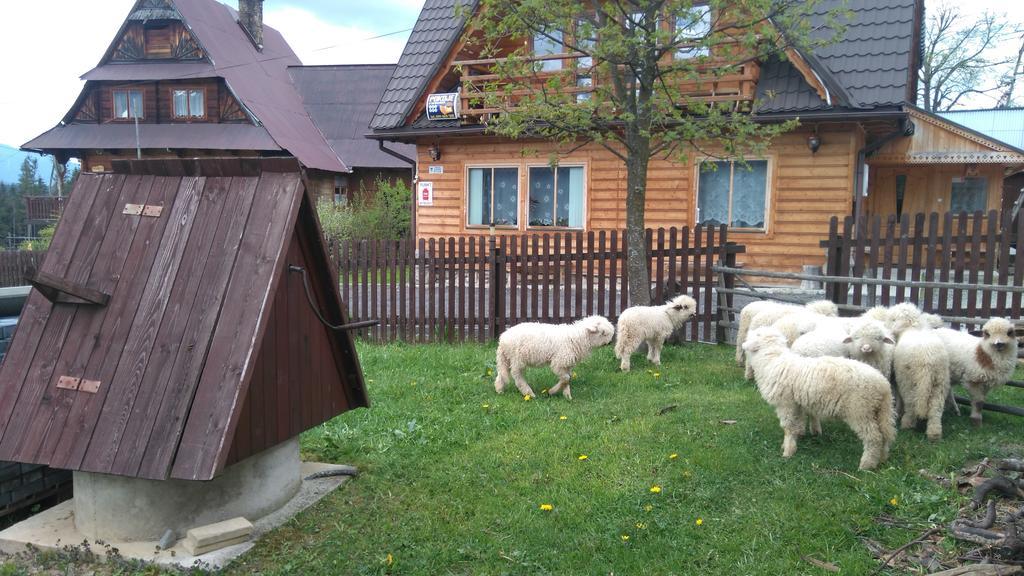 Pokoje U Sarnowskich Kościelisko Exterior foto